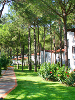 Salima Club Beldibi