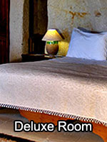 Museum Hotel