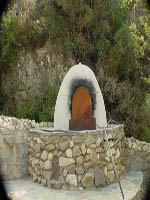 Lavanta