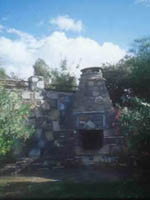 Lavanta