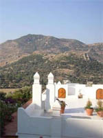 Lavanta