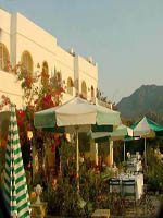Lavanta