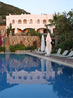 Lavanta