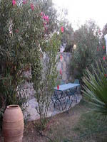 Lavanta