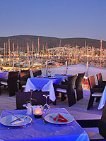 Marina Vista
