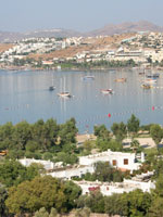 Flora Club Hotel